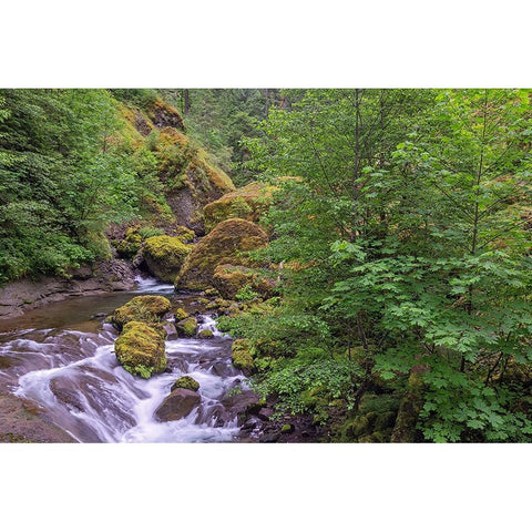 Tanner Creek-Columbia River Gorge-Oregon Black Modern Wood Framed Art Print by Jones, Adam