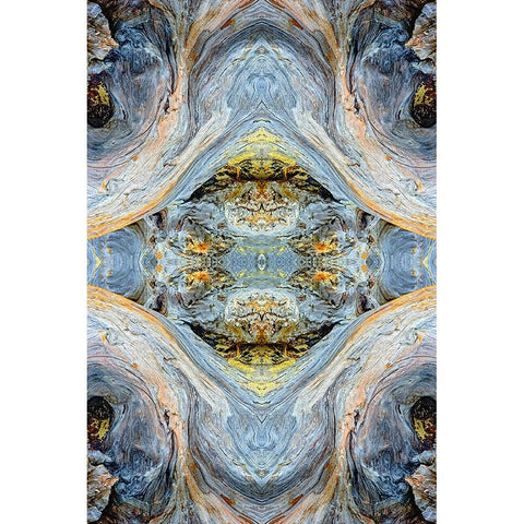 Abstract pattern in driftwood-Bandon Beach-Oregon Black Modern Wood Framed Art Print by Jones, Adam