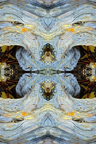 Abstract pattern in driftwood-Bandon Beach-Oregon Black Ornate Wood Framed Art Print with Double Matting by Jones, Adam