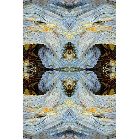 Abstract pattern in driftwood-Bandon Beach-Oregon Black Modern Wood Framed Art Print by Jones, Adam