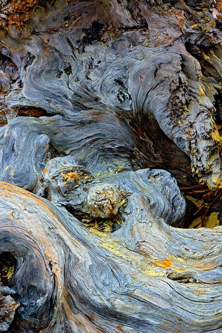 Abstract pattern in driftwood-Bandon Beach-Oregon Black Ornate Wood Framed Art Print with Double Matting by Jones, Adam