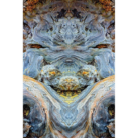 Abstract pattern in driftwood-Bandon Beach-Oregon Black Modern Wood Framed Art Print by Jones, Adam