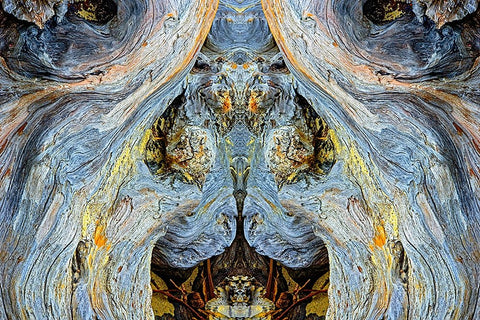 Abstract pattern in driftwood-Bandon Beach-Oregon White Modern Wood Framed Art Print with Double Matting by Jones, Adam