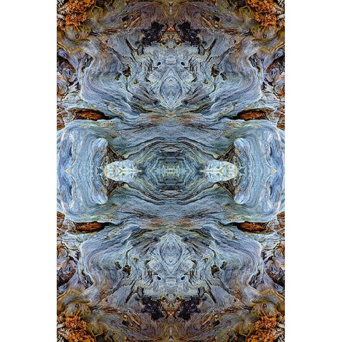 Abstract pattern in driftwood-Bandon Beach-Oregon Gold Ornate Wood Framed Art Print with Double Matting by Jones, Adam