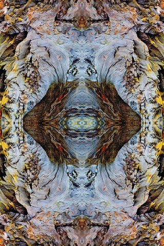 Abstract pattern in driftwood-Bandon Beach-Oregon Black Ornate Wood Framed Art Print with Double Matting by Jones, Adam