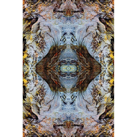 Abstract pattern in driftwood-Bandon Beach-Oregon Black Modern Wood Framed Art Print by Jones, Adam