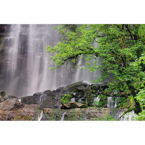 Silver Falls-Golden and Silver Falls State Natural Area-Oregon Black Modern Wood Framed Art Print by Jones, Adam