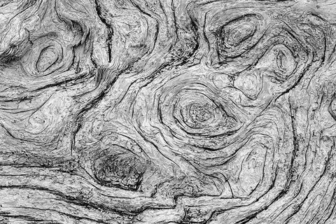 Geometric pattern in eroded driftwood-Bandon Beach-Oregon Black Ornate Wood Framed Art Print with Double Matting by Jones, Adam