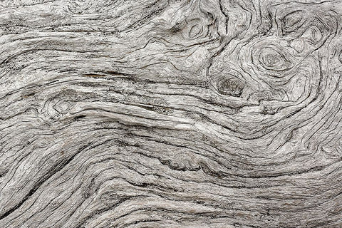 Geometric pattern in eroded driftwood-Bandon Beach-Oregon Black Ornate Wood Framed Art Print with Double Matting by Jones, Adam