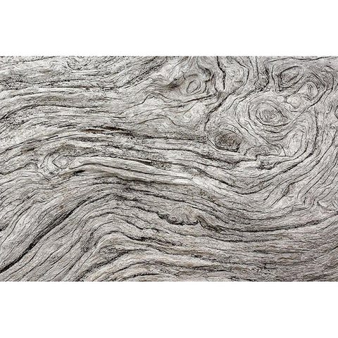 Geometric pattern in eroded driftwood-Bandon Beach-Oregon Black Modern Wood Framed Art Print by Jones, Adam