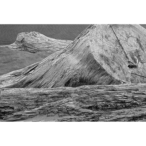 Eroded driftwood on beach-Bandon Beach-Oregon White Modern Wood Framed Art Print by Jones, Adam