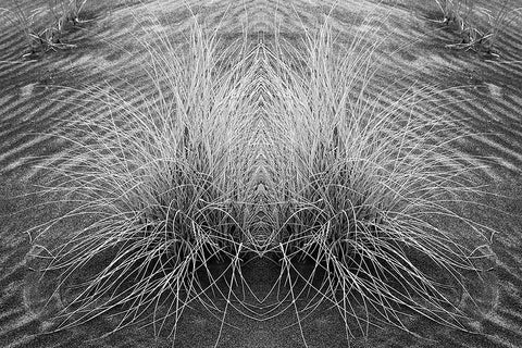 Grass pattern reflected and flipped-Bandon-Oregon Black Ornate Wood Framed Art Print with Double Matting by Jones, Adam