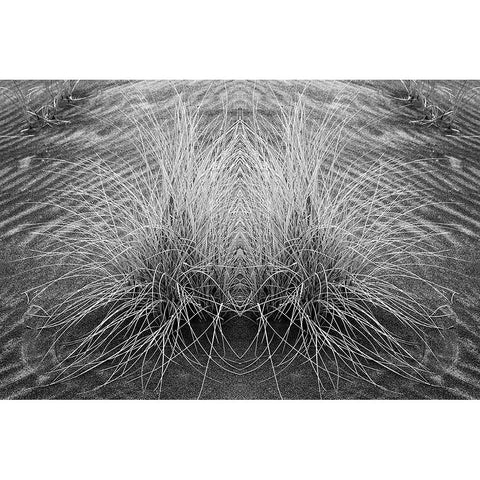 Grass pattern reflected and flipped-Bandon-Oregon Black Modern Wood Framed Art Print by Jones, Adam