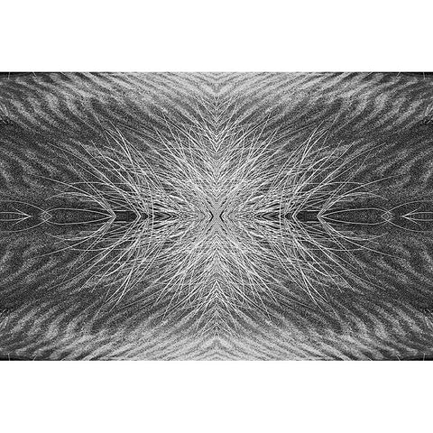 Grass pattern reflected and flipped-Bandon-Oregon Black Modern Wood Framed Art Print with Double Matting by Jones, Adam