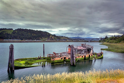 Historic shipwreck-Mary D Hume-a National Register of Historic Places-Gold Beach-Oregon Black Ornate Wood Framed Art Print with Double Matting by Jones, Adam