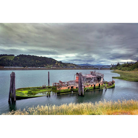 Historic shipwreck-Mary D Hume-a National Register of Historic Places-Gold Beach-Oregon White Modern Wood Framed Art Print by Jones, Adam