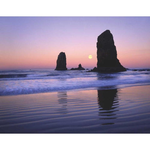 OR, Cannon Beach, Moonset between The Needles White Modern Wood Framed Art Print by Terrill, Steve