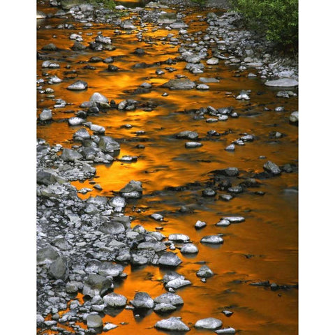 OR, Columbia Gorge, Multnomah Creek Gold Ornate Wood Framed Art Print with Double Matting by Terrill, Steve