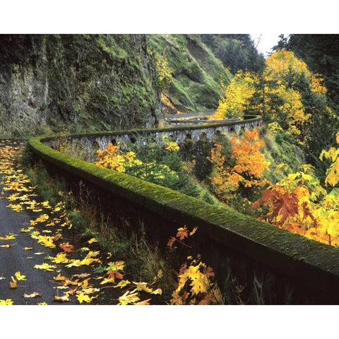 OR, Columbia Gorge, Columbia River Highway Black Modern Wood Framed Art Print with Double Matting by Terrill, Steve