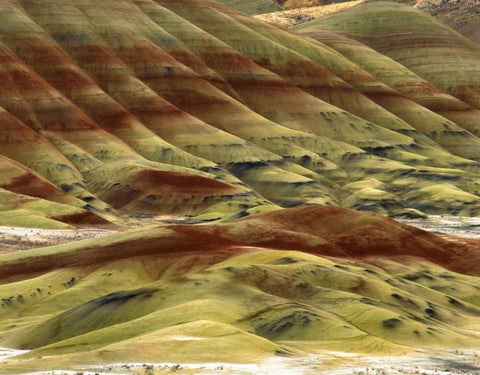 OR, Volcanic ash hills of the Painted Hills Unit Black Ornate Wood Framed Art Print with Double Matting by Terrill, Steve
