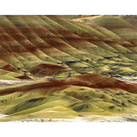 OR, Volcanic ash hills of the Painted Hills Unit Gold Ornate Wood Framed Art Print with Double Matting by Terrill, Steve