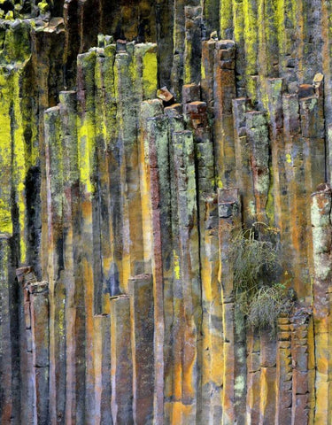 OR, Umpqua NF, Lichen-covered basalt formation Black Ornate Wood Framed Art Print with Double Matting by Terrill, Steve