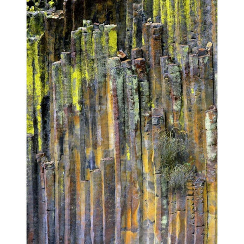 OR, Umpqua NF, Lichen-covered basalt formation Black Modern Wood Framed Art Print with Double Matting by Terrill, Steve