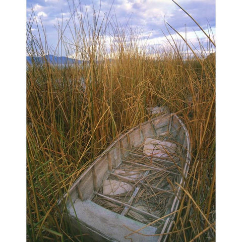 OR, Upper Klamath NWR, Abandoned wooden rowboat Black Modern Wood Framed Art Print by Terrill, Steve