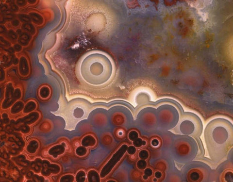 OR, Pattern in Mexican crazy lace agate White Modern Wood Framed Art Print with Double Matting by Terrill, Steve