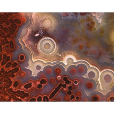 OR, Pattern in Mexican crazy lace agate Black Modern Wood Framed Art Print by Terrill, Steve