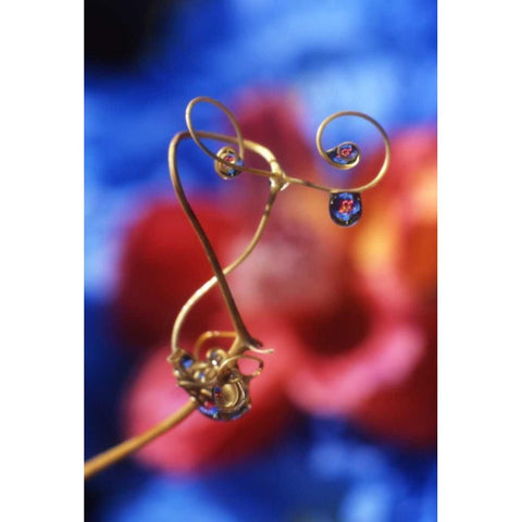 OR, Dewdrops on sweet pea tendril reflect flowers Black Modern Wood Framed Art Print by Terrill, Steve