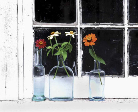 USA, Oregon, Zinnias in bottles on windowsill White Modern Wood Framed Art Print with Double Matting by Terrill, Steve