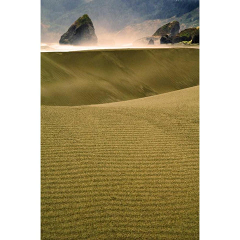 USA, Oregon Sand dunes in late light along coast Gold Ornate Wood Framed Art Print with Double Matting by Rotenberg, Nancy