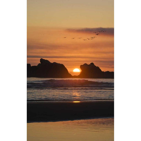 Oregon Birds fly over sunset between sea stacks Black Modern Wood Framed Art Print with Double Matting by Rotenberg, Nancy