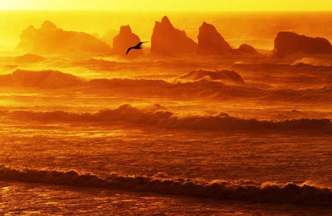 Oregon, Bandon Sunset over waves and sea stacks White Modern Wood Framed Art Print with Double Matting by Welling, Dave