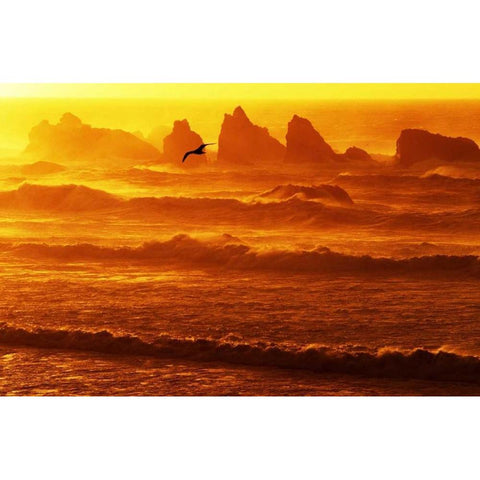 Oregon, Bandon Sunset over waves and sea stacks Gold Ornate Wood Framed Art Print with Double Matting by Welling, Dave