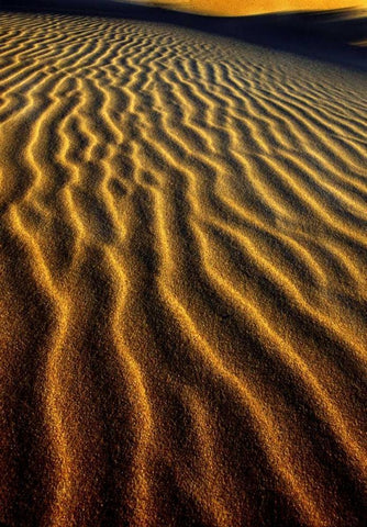 Oregon, Oregon Dunes NRA Dune pattern abstract White Modern Wood Framed Art Print with Double Matting by Welling, Dave