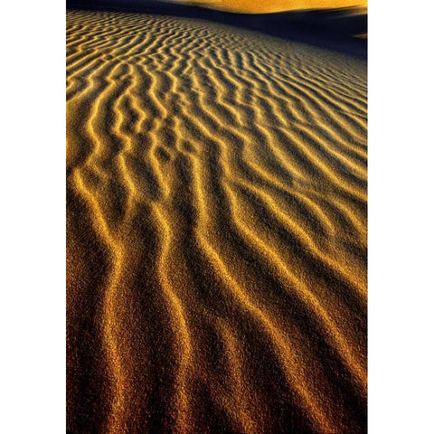 Oregon, Oregon Dunes NRA Dune pattern abstract Black Modern Wood Framed Art Print by Welling, Dave