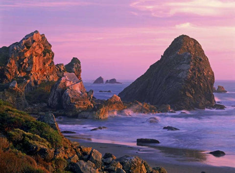OR, Harris State Beach Sea stacks at sunset Black Ornate Wood Framed Art Print with Double Matting by Welling, Dave