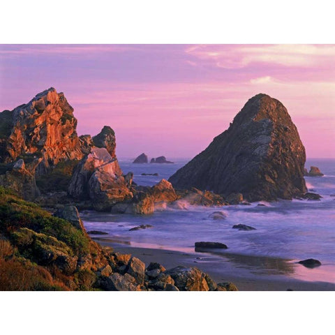 OR, Harris State Beach Sea stacks at sunset Gold Ornate Wood Framed Art Print with Double Matting by Welling, Dave