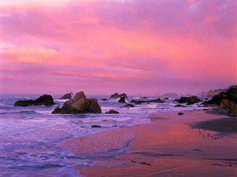OR, Harris State Beach Sea stacks at dawn White Modern Wood Framed Art Print with Double Matting by Welling, Dave
