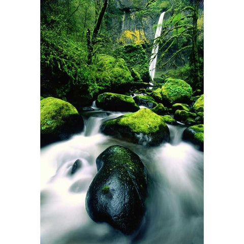 OR, Columbia Gorge Elowah Falls and boulders Black Modern Wood Framed Art Print by Welling, Dave