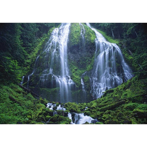 Oregon, Willamette NF The Lower Proxy Falls Black Modern Wood Framed Art Print by Satushek, Steve