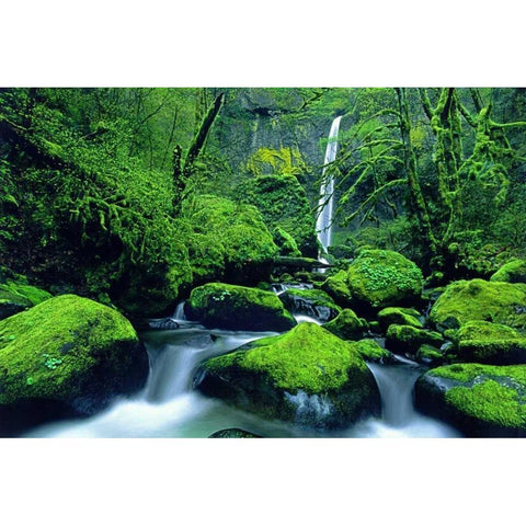 OR, Columbia Gorge Elowah Falls and boulders Gold Ornate Wood Framed Art Print with Double Matting by Welling, Dave