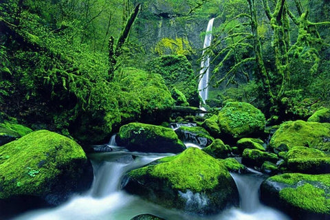 OR, Columbia Gorge Elowah Falls and boulders White Modern Wood Framed Art Print with Double Matting by Welling, Dave