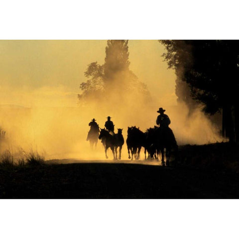 OR, Burns Cowboys driving wild horses on a road Black Modern Wood Framed Art Print by Terrill, Steve