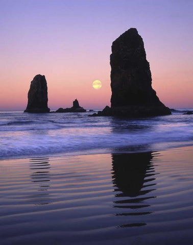OR, Cannon Beach The Needles rock monoliths Black Ornate Wood Framed Art Print with Double Matting by Terrill, Steve