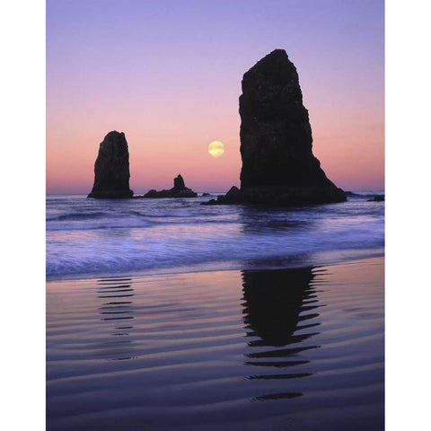 OR, Cannon Beach The Needles rock monoliths Black Modern Wood Framed Art Print by Terrill, Steve