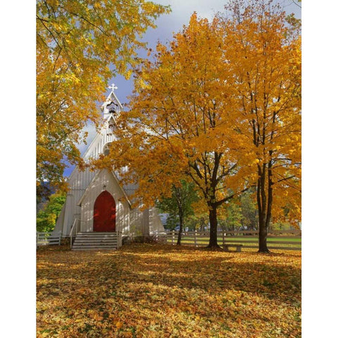 OR, Cove Ascension Chapel surrounded by autumn White Modern Wood Framed Art Print by Terrill, Steve
