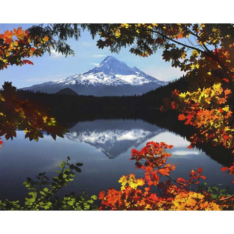 OR, Mt Hood NF Mt Hood from Lost Lake in fall Black Modern Wood Framed Art Print with Double Matting by Terrill, Steve